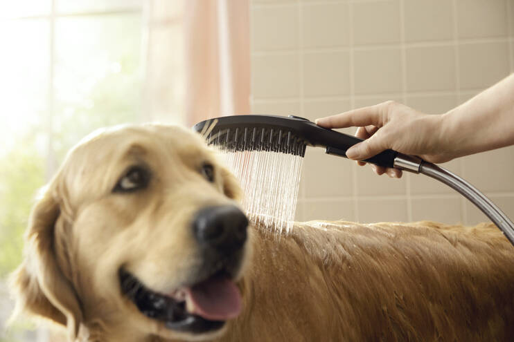 FurSpray