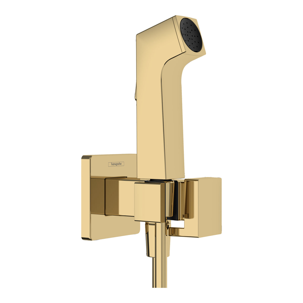 Hansgrohe Bidette hand shower 1jet E EcoSmart for warm water with shower holder and shower hose 125 cm Polished Gold Optic 29233990.jpg