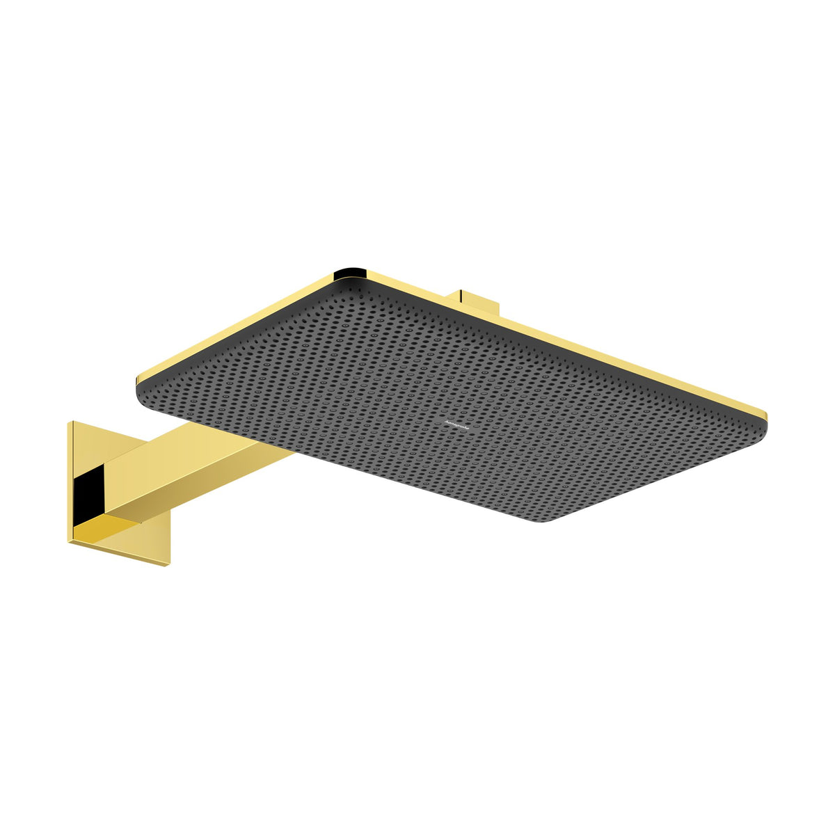 Hansgrohe-Raindance-Alive-Q-Overhead-shower-210-340-2jet-with-shower-arm-Polished-Gold-Optic-24550990