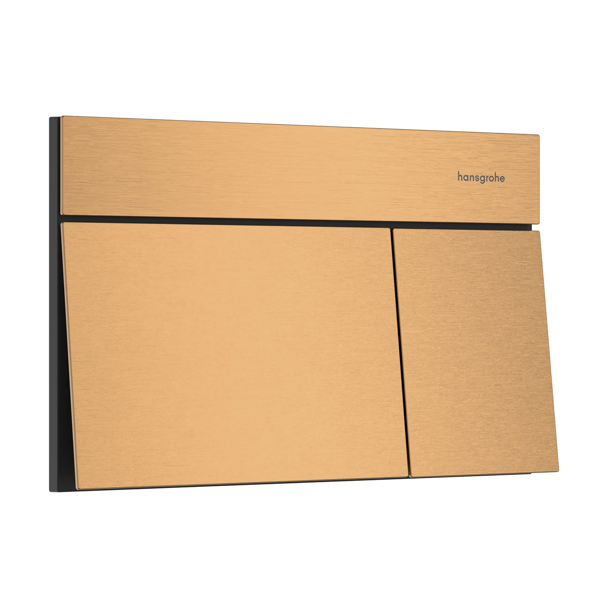 Hansgrohe-iFrame-Element-E-Flush-plate-for-dual-flush-Brushed-Bronze-66003140