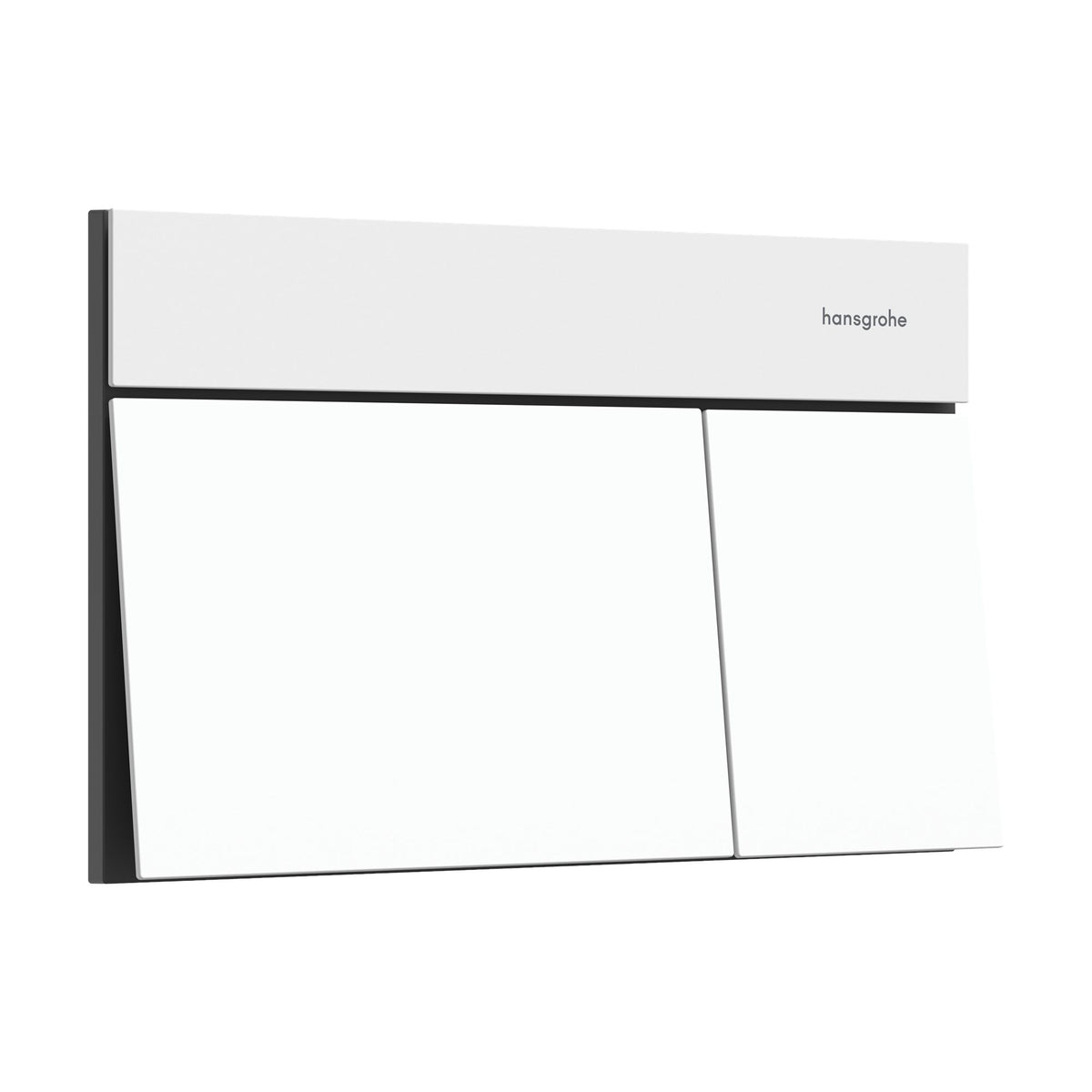 Hansgrohe-iFrame-Element-E-Flush-plate-for-dual-flush-Matt-White-66003700