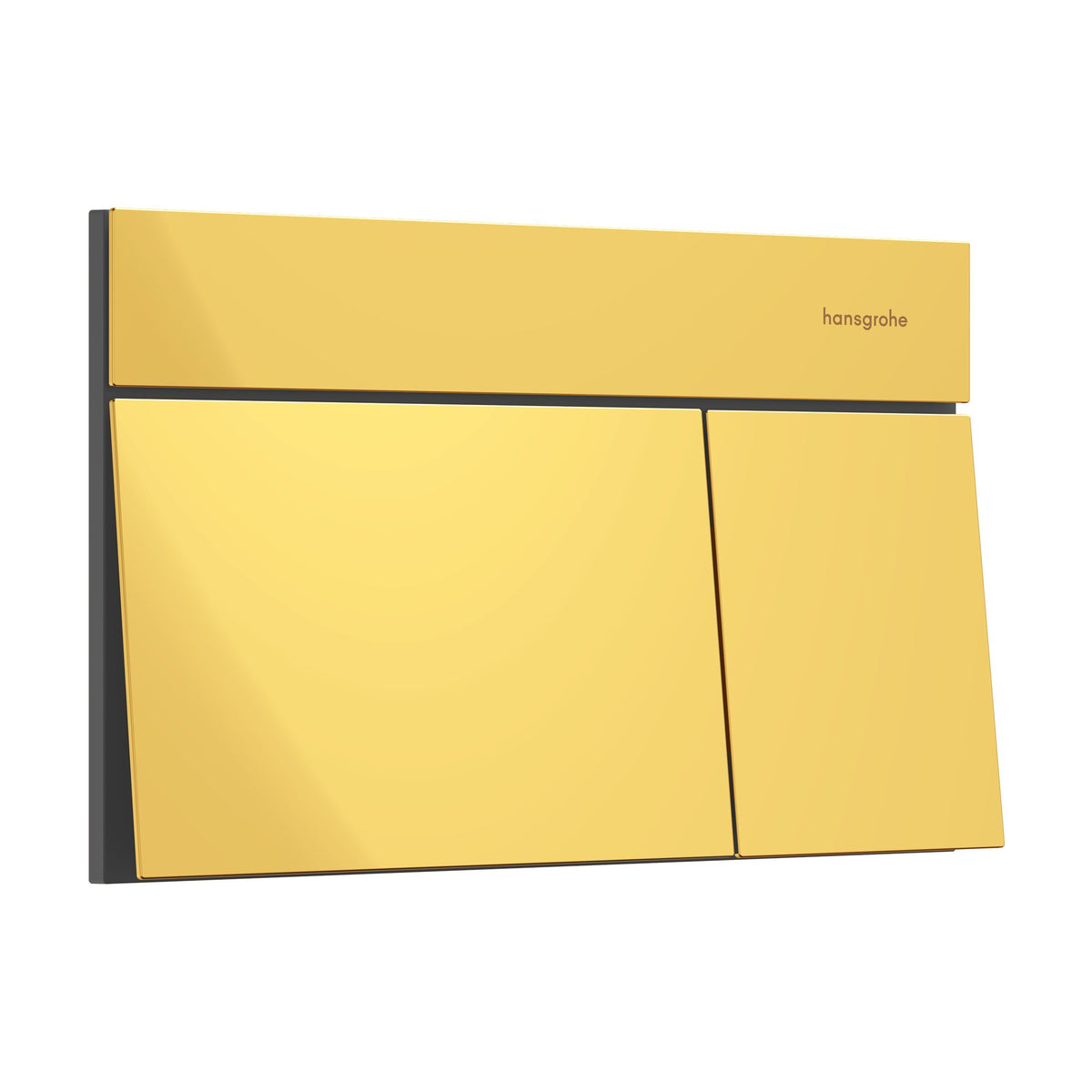 Hansgrohe-iFrame-Element-E-Flush-plate-for-dual-flush-Polished-Gold-Optic-66003990